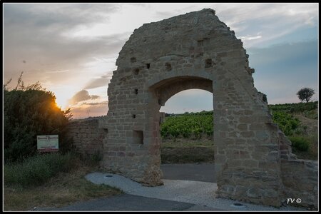 Chateau Neuf du Pape, 2014_07_ChateauNeuf_du_Pape-90_GF