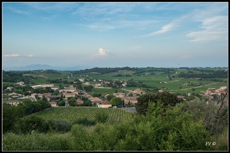 Chateau Neuf du Pape, 2014_07_ChateauNeuf_du_Pape-69_GF