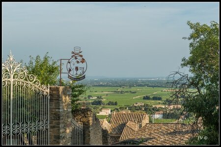 Chateau Neuf du Pape, 2014_07_ChateauNeuf_du_Pape-58_GF