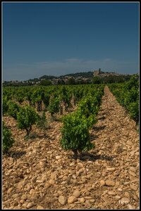 Chateau Neuf du Pape, 2014_07_ChateauNeuf_du_Pape-4_GF