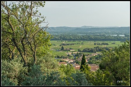 Chateau Neuf du Pape, 2014_07_ChateauNeuf_du_Pape-48_GF