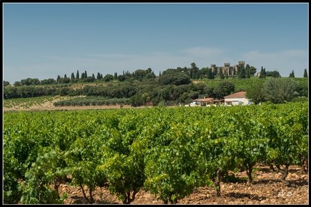 Chateau Neuf du Pape, 2014_07_ChateauNeuf_du_Pape-12_GF