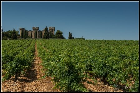 Chateau Neuf du Pape, 2014_07_ChateauNeuf_du_Pape-27_GF