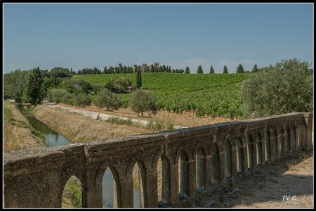 Chateau Neuf du Pape, 2014_07_ChateauNeuf_du_Pape-17_GF