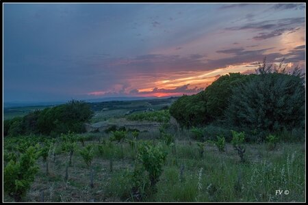Chateau Neuf du Pape, 2014_07_ChateauNeuf_du_Pape-108_GF