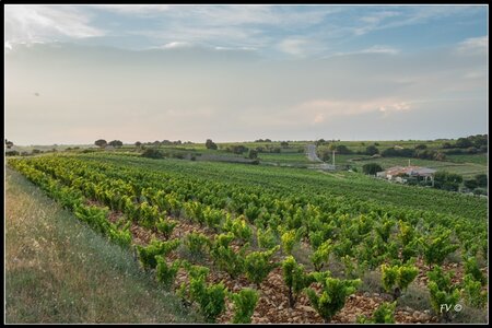 Chateau Neuf du Pape, 2014_07_ChateauNeuf_du_Pape-81_GF