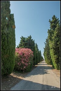 Chateau Neuf du Pape, 2014_07_ChateauNeuf_du_Pape-30_GF
