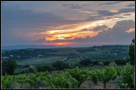 Chateau Neuf du Pape, 2014_07_ChateauNeuf_du_Pape-99_GF