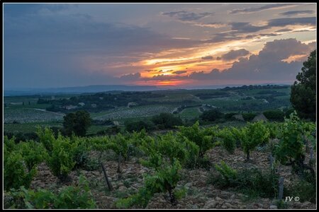 Chateau Neuf du Pape, 2014_07_ChateauNeuf_du_Pape-98_GF