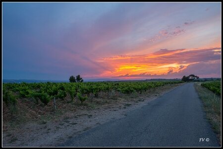 Chateau Neuf du Pape, 2014_07_ChateauNeuf_du_Pape-113_GF