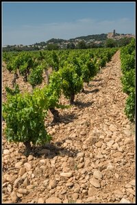 Chateau Neuf du Pape, 2014_07_ChateauNeuf_du_Pape-8_GF
