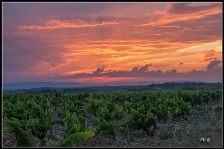 Chateau Neuf du Pape, 2014_07_ChateauNeuf_du_Pape-109_GF