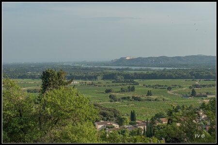 Chateau Neuf du Pape, 2014_07_ChateauNeuf_du_Pape-45_GF