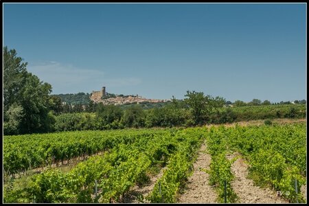 Chateau Neuf du Pape, 2014_07_ChateauNeuf_du_Pape-2_GF