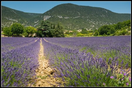 Les carrières Ocres, 