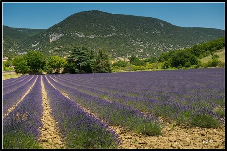 Les carrières Ocres, 