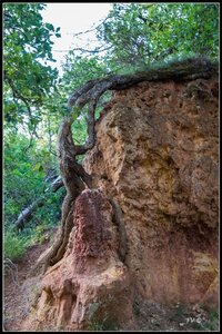 Les carrières Ocres, 