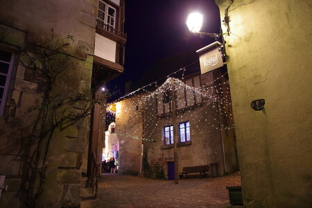 Rochefort en Terre - Feerie de Noel 2014, IMGP8409