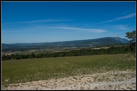 Les Lavandes, 2014_07_les_Lavandes-3_GF