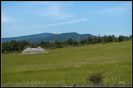 Les Lavandes, 2014_07_les_Lavandes-10_GF
