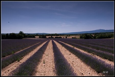 Les Lavandes, 2014_07_les_Lavandes-25_GF