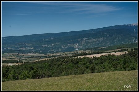 Les Lavandes, 2014_07_les_Lavandes-1_GF