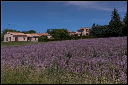 Les Lavandes, 2014_07_les_Lavandes-24_GF