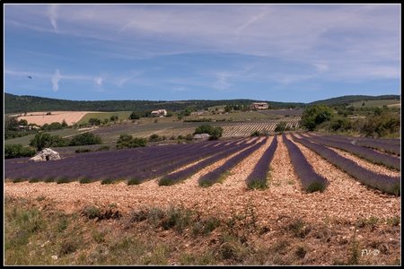 Les Lavandes, 2014_07_les_Lavandes-19_GF
