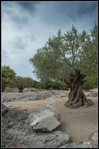 Pont du Gard, 2014_Pont_du_Gard-85_GF