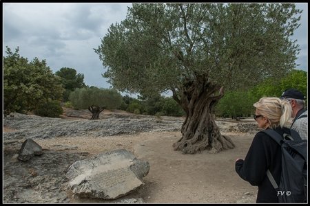 Pont du Gard, 2014_Pont_du_Gard-87_GF