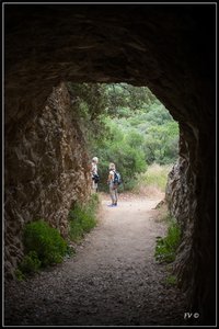 Pont du Gard, 2014_Pont_du_Gard-42_GF