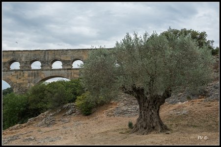 Pont du Gard, 2014_Pont_du_Gard-2_GF