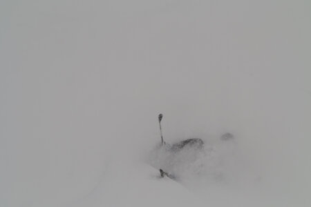 2015-01-17-ski-rando-beaufortain, alpes-aventure-ski-rando-beaufortain-grand-mont-areches-2015-01-17-28