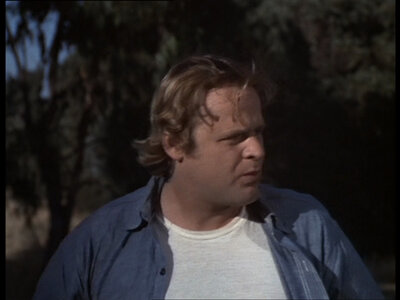 Sosiesland, Sean Astin