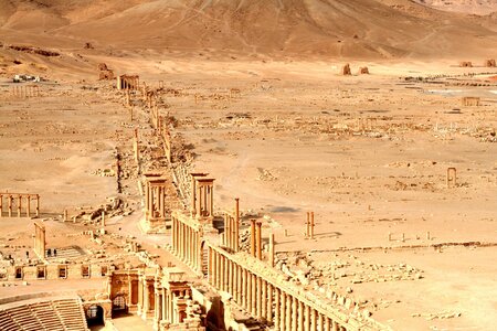 quelques photos, Palmyra