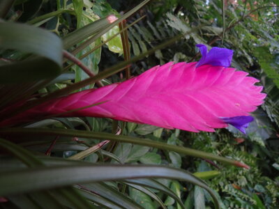 Guadeloupe, 164