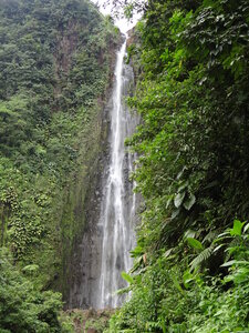 Guadeloupe, 499
