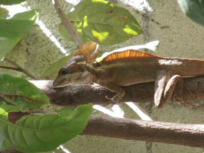 Voyage Partagé MEXIQUE GUATEMALA, Bacalar