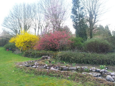 perso , jardin printemps