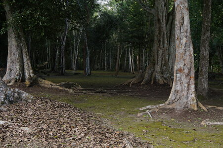 Voyage Partagé MEXIQUE GUATEMALA, Les ruines de Bécan