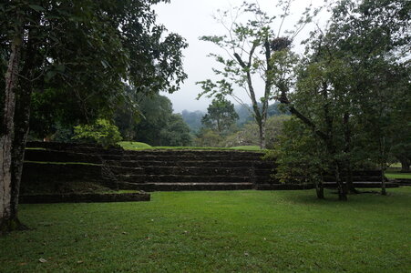 Voyage Partagé MEXIQUE GUATEMALA, Les ruines de Palenque