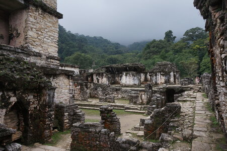Voyage Partagé MEXIQUE GUATEMALA, Les ruines de Palenque