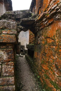 Voyage Partagé MEXIQUE GUATEMALA, Les ruines de Palenque