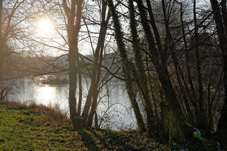 Ballade hivernale autour d'un étang gelé., image