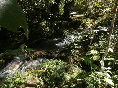 Voyage Partagé MEXIQUE GUATEMALA, la cascade de Tzajala