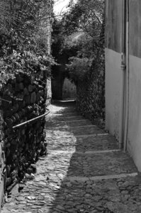 33-Les côtes de Valence, La côte Sylvaner