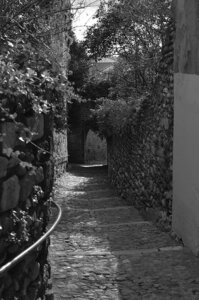 33-Les côtes de Valence, La côte Sylvaner