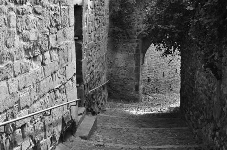 33-Les côtes de Valence, La côte Sylvaner
