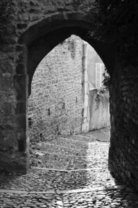 33-Les côtes de Valence, La côte Sylvaner