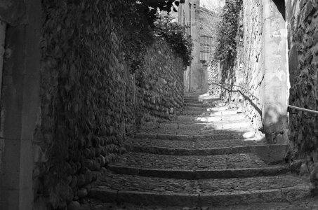 33-Les côtes de Valence, La côte Sylvaner